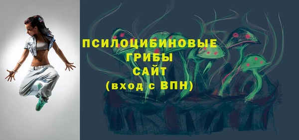 спиды Мегион
