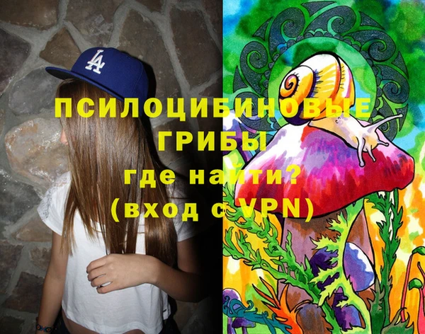 спиды Мегион